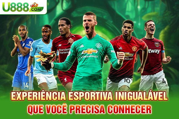 Experiência esportiva inigualável que você precisa conhecer